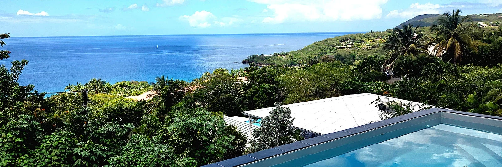Piscine de la villa en Guadeloupe