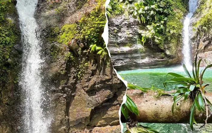 Paysages de la Guadeloupe près des villas