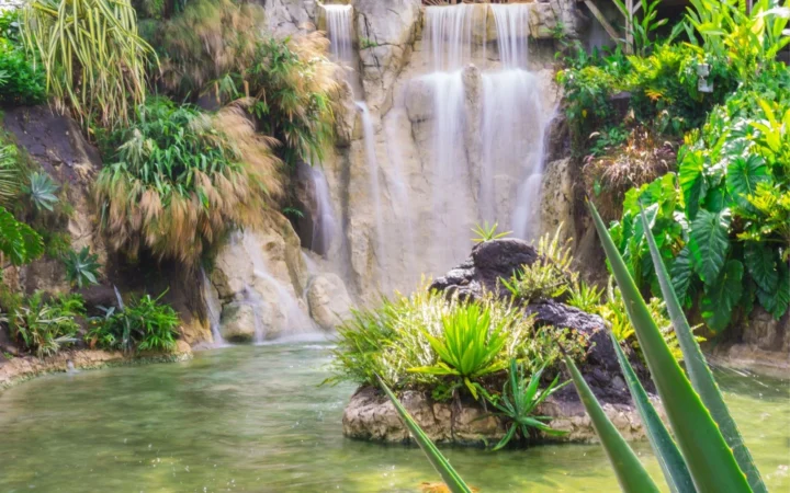 Jardin botanique Deshaies en Guadeloupe