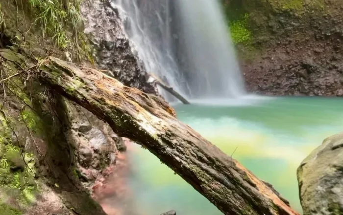 Paysage paradisiaque en Guadeloupe